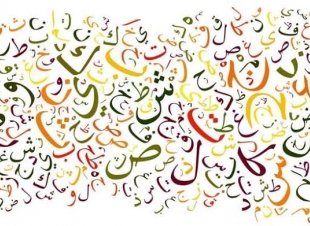 لغة الضاد ومكانتها المتميزة 